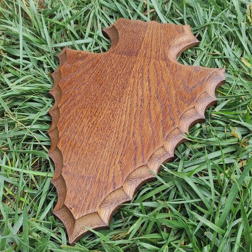 dám bika trófea alátét 03