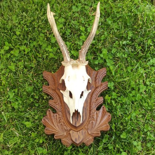 Őz trófea alátét 01