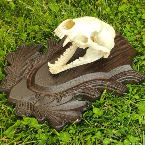 Ragadozó trófea alátét 01