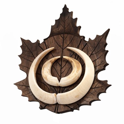 Vaddisznó trófea alátét 02